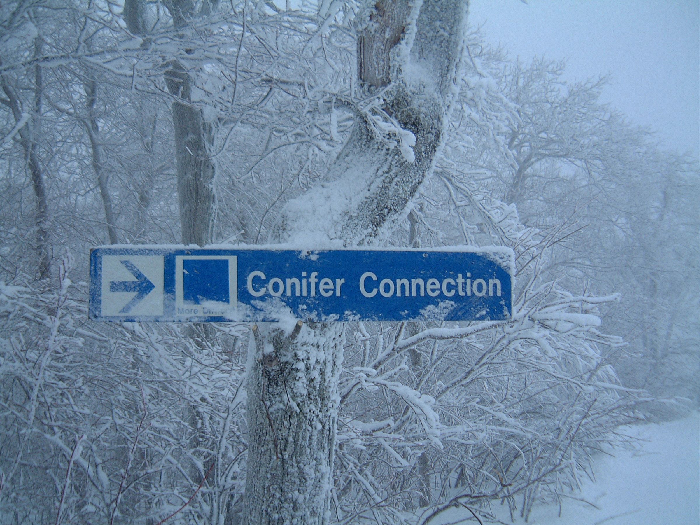 Trail Sign (small)