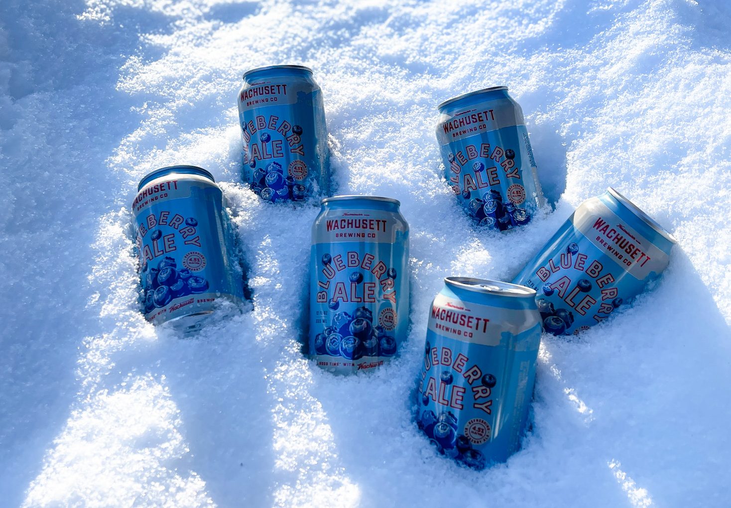 Wachusett Beers
