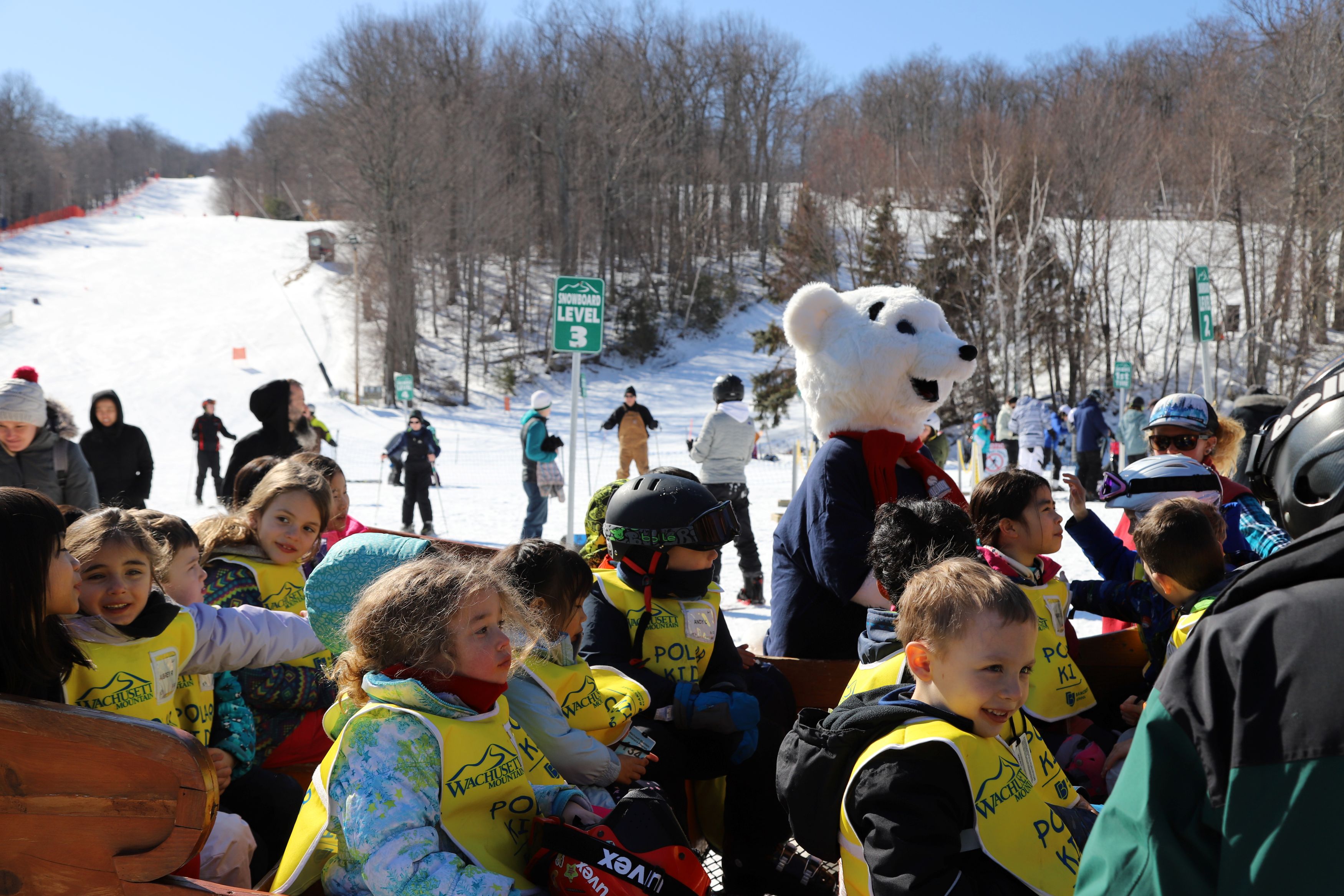 Polar Kids Sled (small)